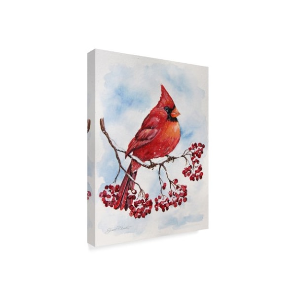 Jean Plout 'Red Cardinal' Canvas Art,35x47